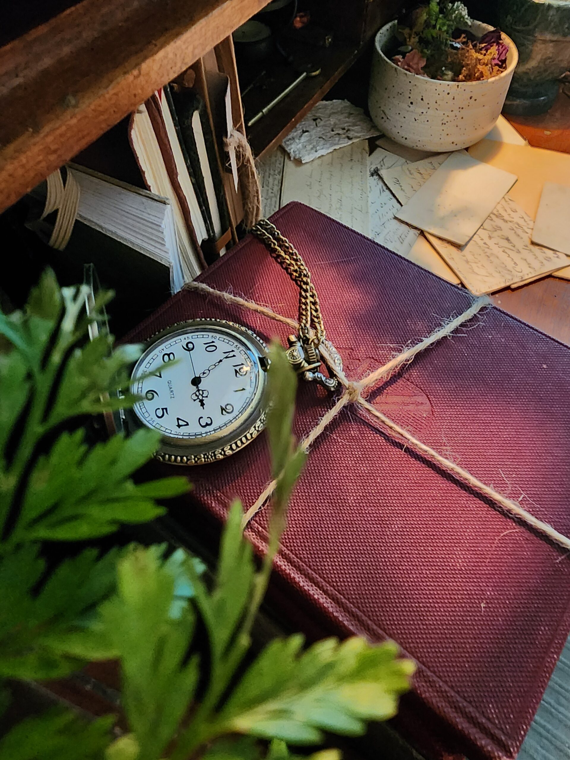 timepiece on a collection of bound books with a fern overlapping.